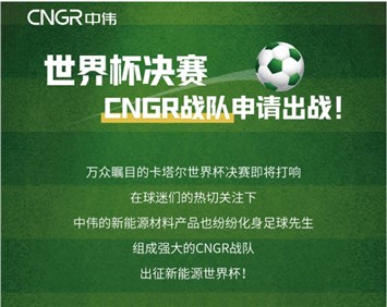 世界杯決賽 | CNGR戰隊申請出戰！