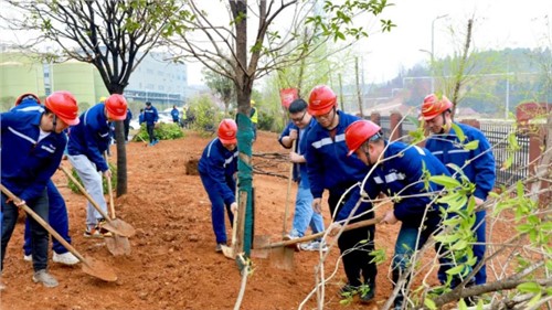 這個植樹節，共植一抹青綠，向著綠色未來出發！