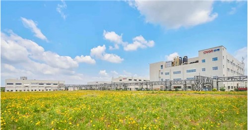 連續三年排名穩步提升！中偉股份入選2025年中國民營企業500強